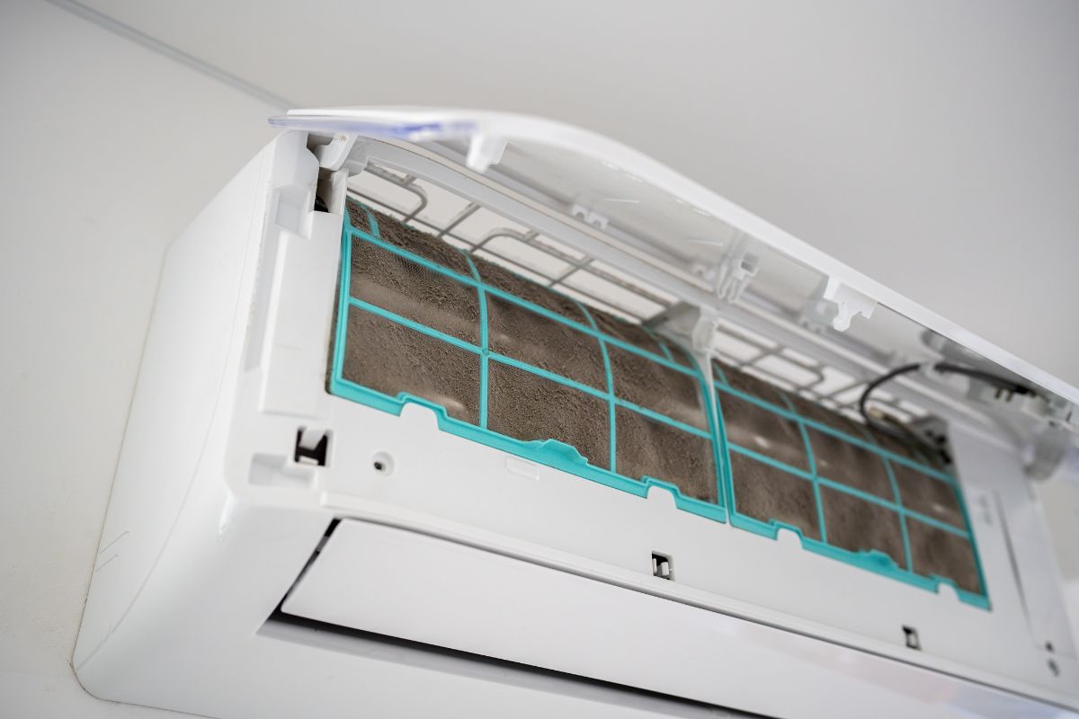 Cleaning Mold from AC Unit 