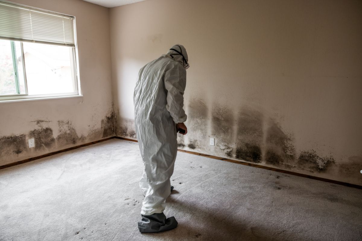 A man in a white suit stands in a room affected by mold, indicating a mold remediation situation.