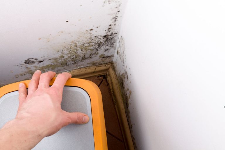A person reaching for a moldy toilet seat, emphasizing the need to eliminate mold from all surfaces.